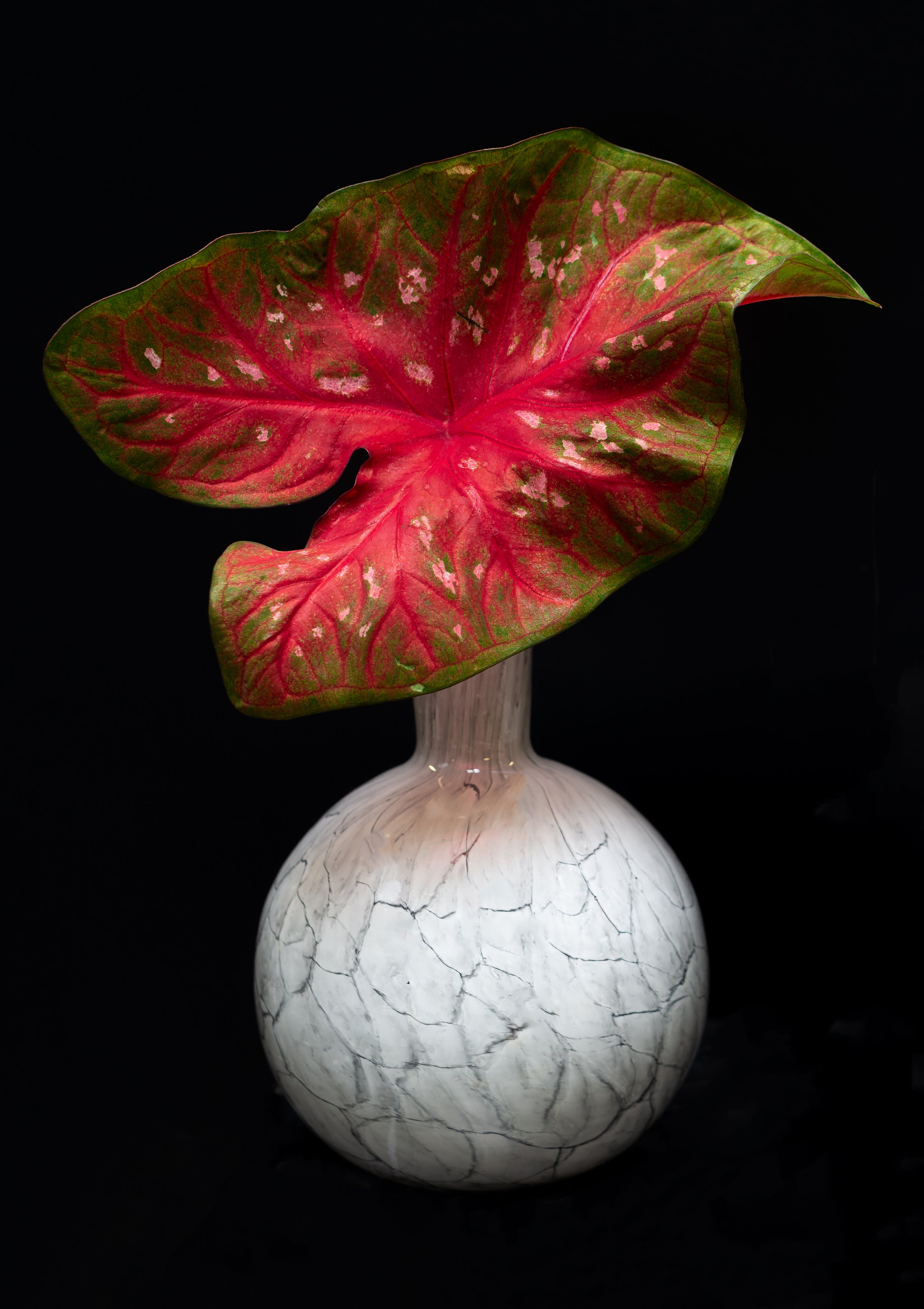 Mondgeblazen Vaas – Grey Globe